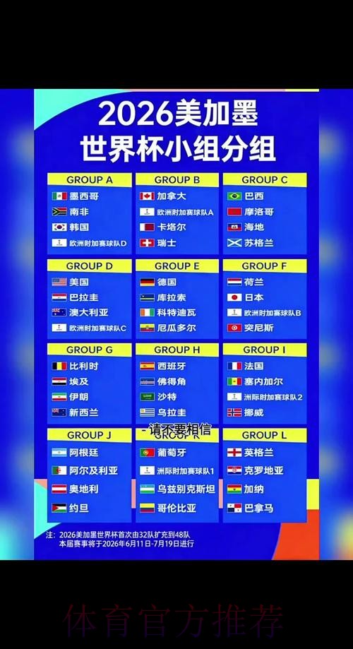 2026世界杯比分